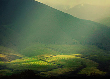 ddos在线攻击测试网站